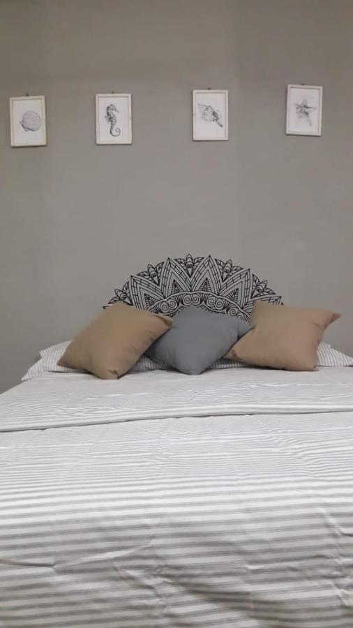 Casa Calido Hotel كوزوميل المظهر الخارجي الصورة