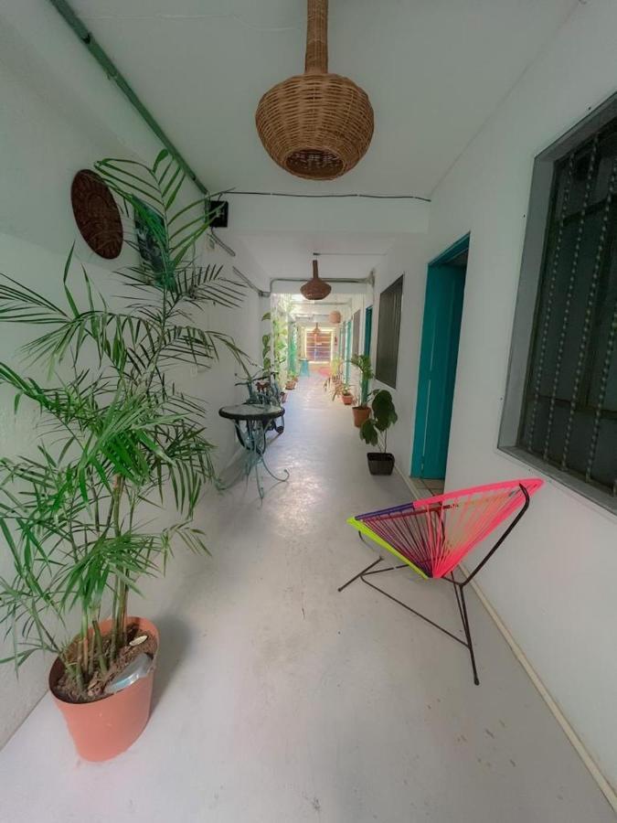 Casa Calido Hotel كوزوميل المظهر الخارجي الصورة