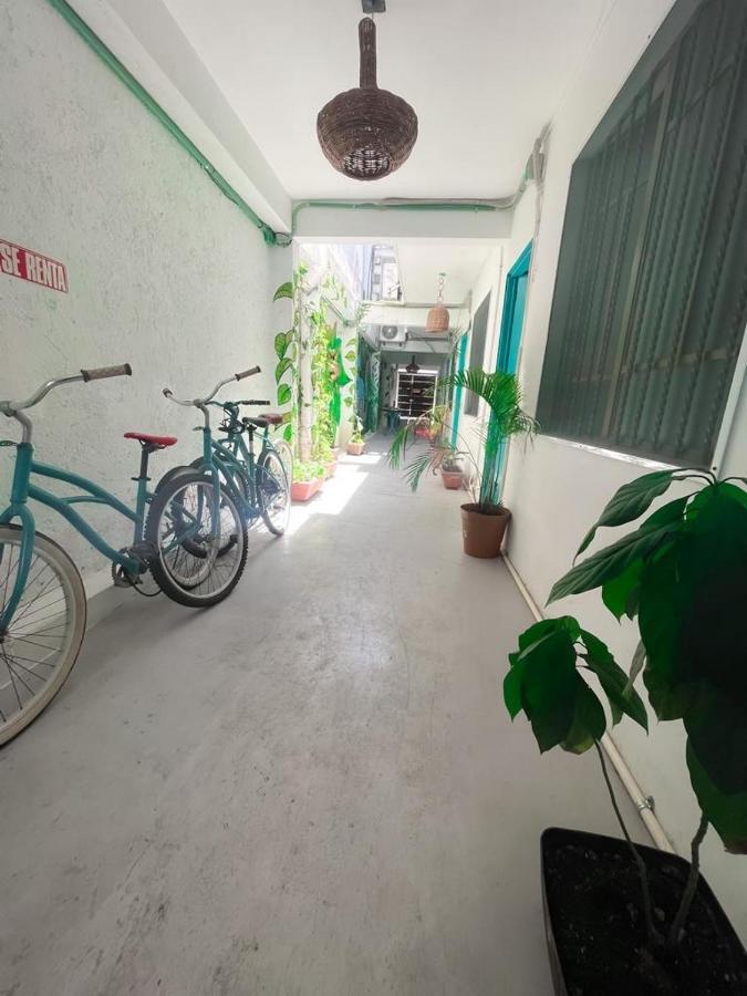 Casa Calido Hotel كوزوميل المظهر الخارجي الصورة